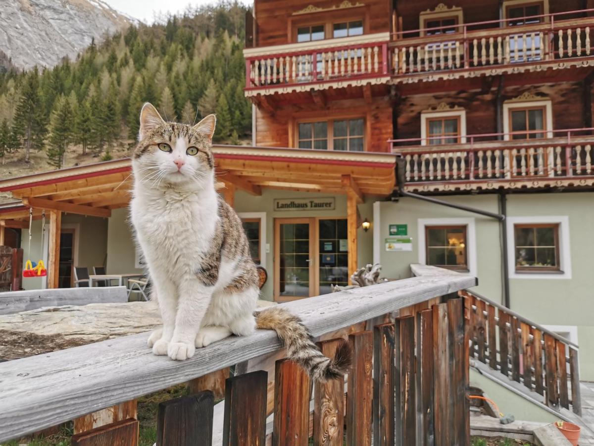 Landhaus Taurer Kals-am Großglockner Kültér fotó
