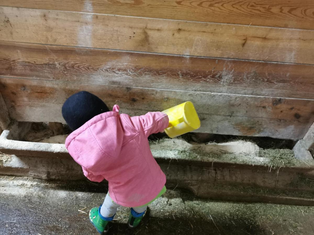 Landhaus Taurer Kals-am Großglockner Kültér fotó