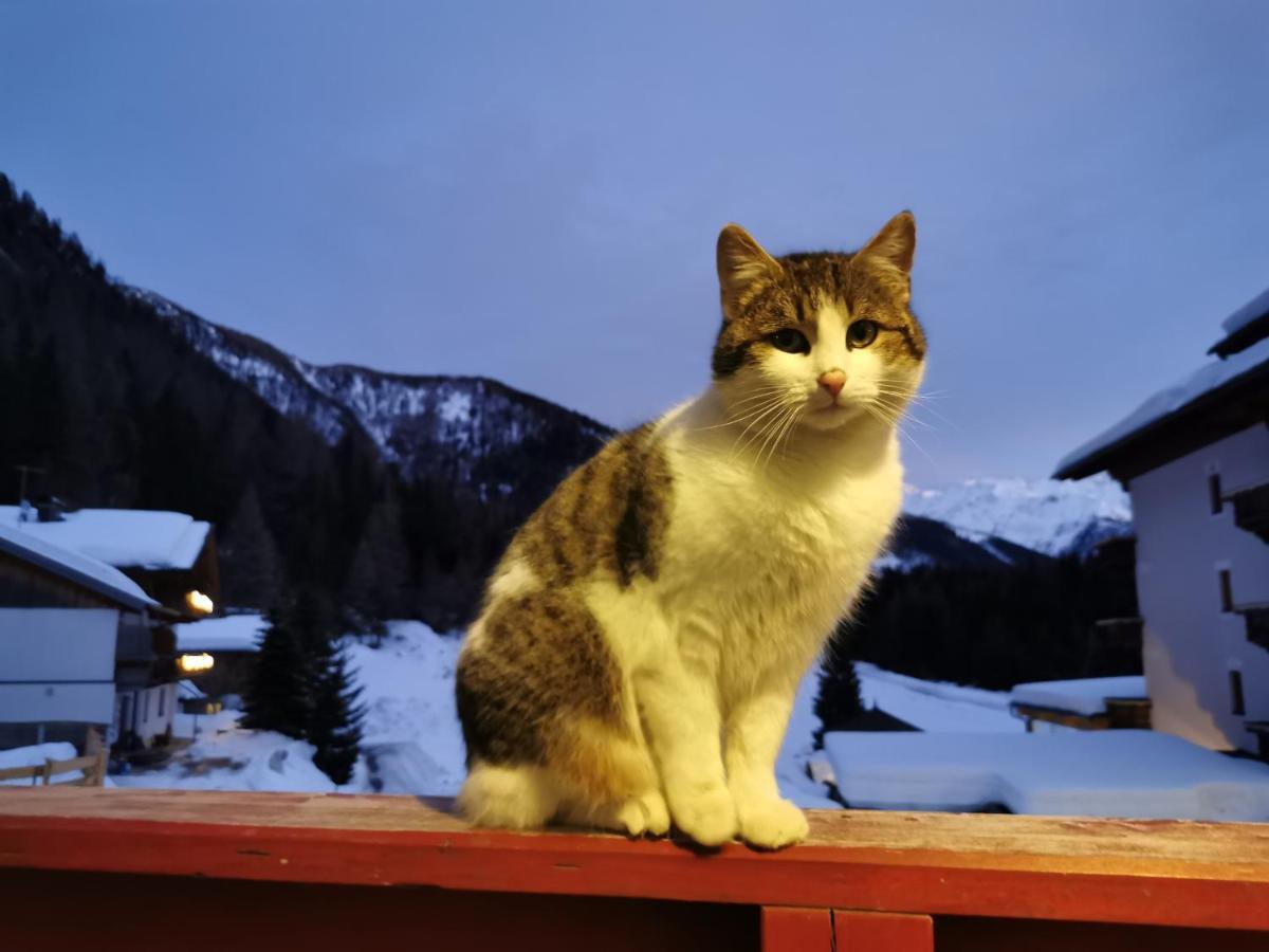 Landhaus Taurer Kals-am Großglockner Kültér fotó