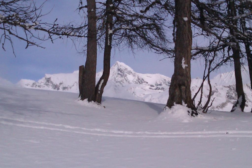 Landhaus Taurer Kals-am Großglockner Kültér fotó